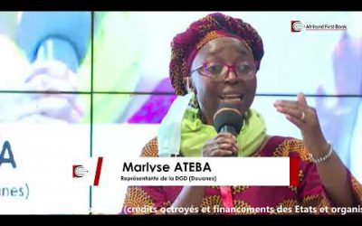 Avis aux importateurs : Comment levée ou proroger une DI au Cameroun. La DGD explique [🔴Live streaming By ICT Media]