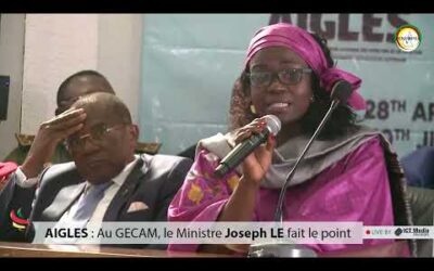 Le Pr Nadine MACHIKOU NGAMENI d’AYEN fait le diagnostic des réformes de la fonction publique. [🔴Live streaming By ICT Media]