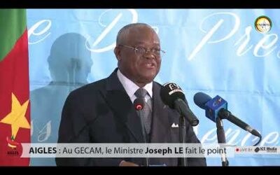 Joseph LE : « La fonction publique camerounaise compte 292 456 agents actifs » [🔴Live streaming By ICT Media]